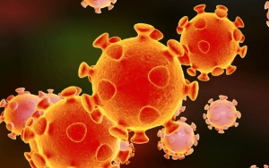 Mutasi Virus Corona Lebih Lambat Dari Influenza, LIPI Jelaskan Sisi Baiknya