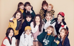 Member Cosmic Girls Nyaris Terluka Karena Ulah Fans, Agensi Beri Tanggapan