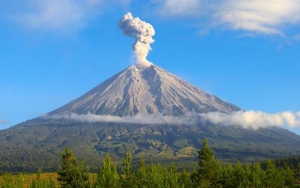 Gunung Semeru Erupsi, Semburkan Awan Panas Setinggi 2.000 Meter