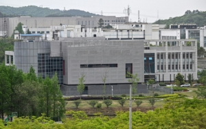 Laboratorium Wuhan Dituding Jadi Sumber Virus Corona, Sang Direktur Akhirnya Buka Suara