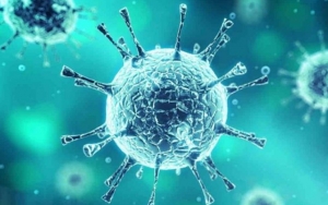 Selain Corona, Berikut Virus-Virus Paling Mematikan Di Dunia