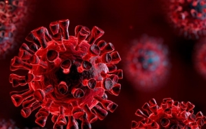 WHO Pastikan Virus Corona Bukan Hasil Rekayasa Manusia