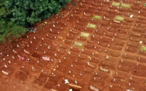 Media Asing Ikut Soroti Tukang Gali Kubur Indonesia di Tengah Badai COVID-19