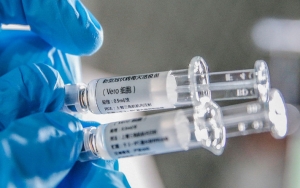 Kabar Baik, Vaksin Corona Sukses Lindungi Kera Percobaan Yang Sengaja Diinfeksi Virus