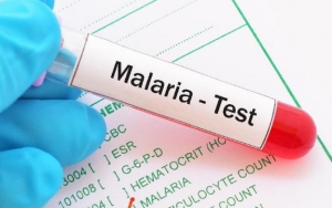 Dikepung Corona, Afrika Justru Khawatir Bakal Tumbang Akibat Lonjakan Kasus Malaria