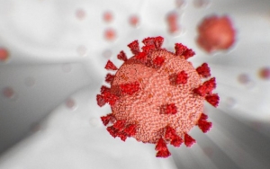Virus Corona Juga Terdeteksi di Partikel Polusi Udara, Bisa Tularkan Covid-19 Lebih Jauh? 