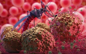 Penyakit Malaria Miliki Gejala Mirip COVID-19, Warga Diminta Waspada