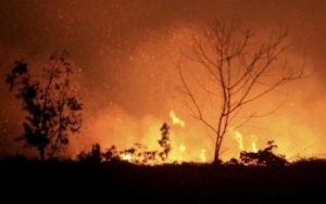 Corona Bukan Satu-Satunya Ancaman, Ribuan Titik Api Bakal Karhutla Mulai Muncul di Sumsel
