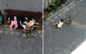 Beredar Video Aksi Monyet 'Culik' Bocah di Internet, Jadi Sorotan Netizen