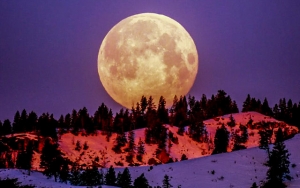 Jangan Ketinggalan, Malam Ini Bakal Jadi Puncak Supermoon Terakhir Tahun 2020