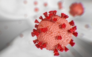 WHO Bakal Kirim Tim Investigasi ke Tiongkok Usut Sumber Virus Corona