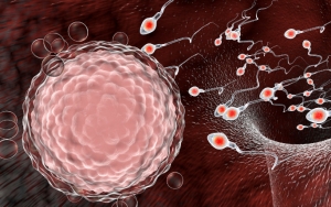 Virus Corona Terungkap Bisa Bertahan Di Cairan Sperma, Menular Lewat Hubungan Seks?