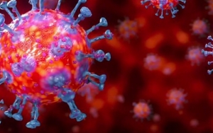 Lacak Rute Asal Transmisi COVID-19, Indonesia Setor 13 Genom Virus ke Lembaga Global GISAID