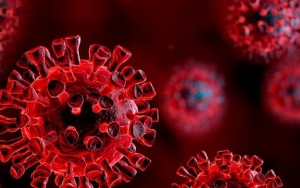 Sering Asal Ngomong Soal Corona, Ahli Epidemiologi UI Minta Pejabat Setop Bikin Rakyat Bingung