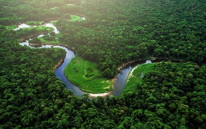 Cegah Deforestasi di Tengah Pandemi Corona, Brazil Kerahkan Ribuan Tentara Jaga Hutan Amazon