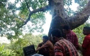 Sinyal Buruk, Kades Flores Nekat Panjat Pohon 2 Jam Demi Bahas Corona