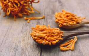 Jamur Cordyceps Diklaim Mampu Hambat Corona, Siap Diuji ke Pasien di Wisma Atlet