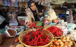 Yuk Antisipasi, Ikuti 7 Tips Ini Untuk Mensterilkan Belanjaan Dari Pasar Ketika Pandemi COVID-19