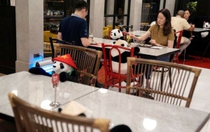 Terapkan Physical Distancing, Restoran Ini Hadirkan Boneka Panda Jadi Teman Makan
