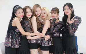 Momoland Dilaporkan Bakal Segera Comeback Awal Juni, Agensi Beri Tanggapan