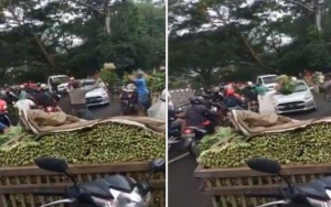 Viral Dibagikan Secara Gratis, Pedagang di Malang Juga Buang Sayur ke Sungai