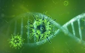 Peneliti Sebut Virus Corona Pertama di Wuhan Berasal Dari Manusia Bukan Hewan