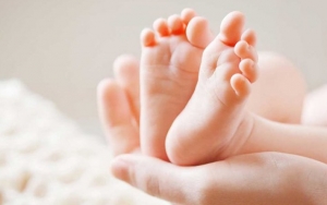 Heboh 'Prank' Kardus Isi Mayat Bayi di Jakarta, Pelaku Masih Misterius