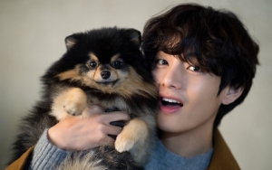 Yeontan Anjing Kesayangan V BTS Online Weverse Minta Daging Bebek