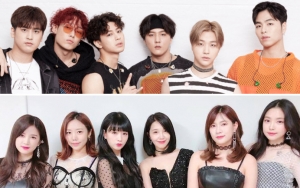iKON Hingga A Pink Dikonfirmasi Jadi Line Up Dalam TikTok Online Concert, Begini Detailnya