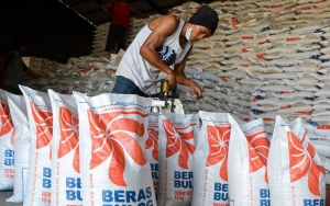 Beredar Video Beras di Bulog Busuk, Pelaku Berhasil Diciduk