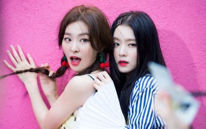 Debut Sub-Unit Irene dan Seulgi Red Velvet Ditunda SM, Kenapa?