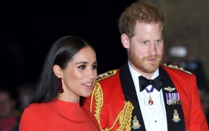 Pakar Kerajaan Ungkap Meghan Markle Tak Siap Mental Jadi Istri Pangeran Harry