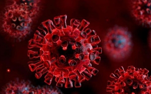 Selandia Baru Klaim Kalahkan Corona, Australia Bantah dan Ungkap Potensi Mengerikan Ini