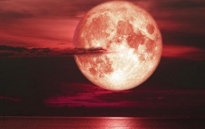 Fenomena Strawberry Moon Bakal Hiasi Langit Indonesia Malam Ini, Apa Itu? 