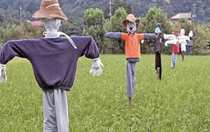 Bikin Takut Warga, Viral Orang-Orangan Sawah Mengerikan Mirip Dementor di Film 'Harry Potter'
