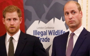 Nasib Harry di LA Tak Jelas Karena Tak Punya Pekerjaan, William Paksa Sang Adik Kembali ke Inggris
