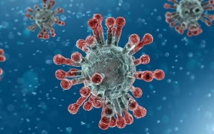 WHO Sebut Virus Corona Paling Menular Saat Gejala Pertama, Begini Penjelasannya