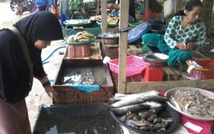 Kasus COVID-19 Kembali Bertambah, Muncul Klaster Pedagang Ikan di Yogyakarta
