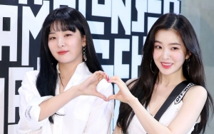 Irene Dan Seulgi Red Velvet Siap Debut Jadi Sub-Unit Lewat 'Monster', Begini Ilustrasinya!
