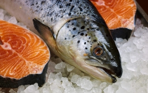 Beijing Setop Jual Ikan Salmon Usai Muncul Kasus COVID-19 Baru, Ini Kata WHO