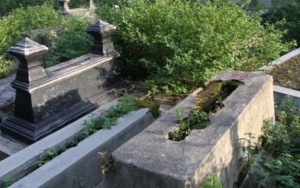 Makam di Jalan Gang Padat Penduduk Jadi Viral, Ternyata Sudah Ada Puluhan Tahun