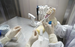 Jumlah Tes PCR Corona Di Jakarta Lampaui Target WHO, Begini Hasilnya