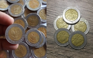  Ini Alasan Koin Seribu Rupiah Berlambang Sawit Bisa Dijual Hingga Rp 100 Juta
