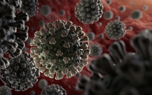 Wabah Corona Meluas, Studi Terbaru Ungkap Tak Ada Yang Benar-Benar Kebal Dari Virus
