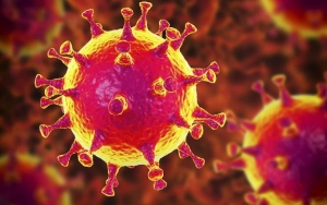 Virus Corona Disebut Bakal Lebih 'Jinak' Setelah Bermutasi