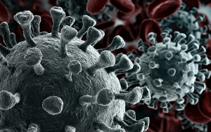 Virus Corona di Indonesia Disebut Belum Bermutasi, Begini Penjelasannya