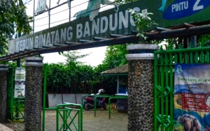 Kebun Binatang Bandung Terapkan Sistem Buka Tutup Saat Kembali Beroperasi
