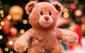 Polisi Belanda Wajib Bawa Boneka Teddy Bear Saat Patroli, Untuk Apa?