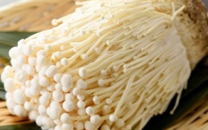 Kementan Ungkap Penyebab Jamur Enoki Mengandung Listeria Bisa Masuk RI
