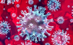 Pakar Sebut COVID-19 Bukan Virus Baru dan Sudah Ada Sejak Lama